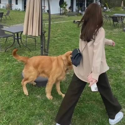 琳赛·萝涵的印度之旅